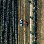 Fabiani, Historic Wine Estate, *