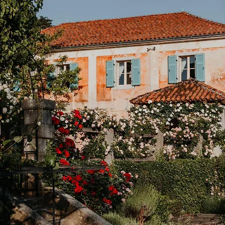 Fabiani, Historic Wine Estate, Štanjel