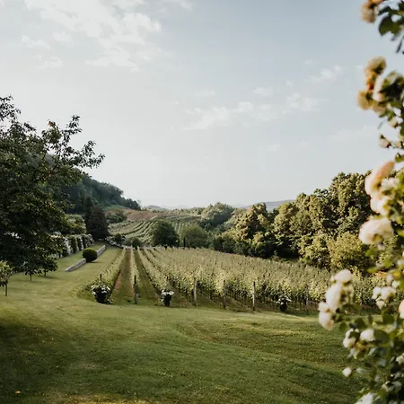 乡村民宿 Fabiani, Historic Wine Estate, *