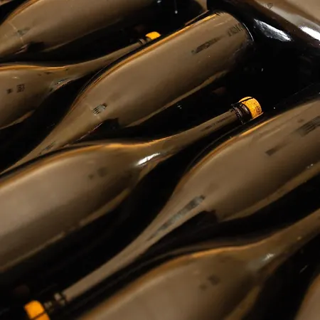 Fabiani, Historic Wine Estate, 乡村民宿 *