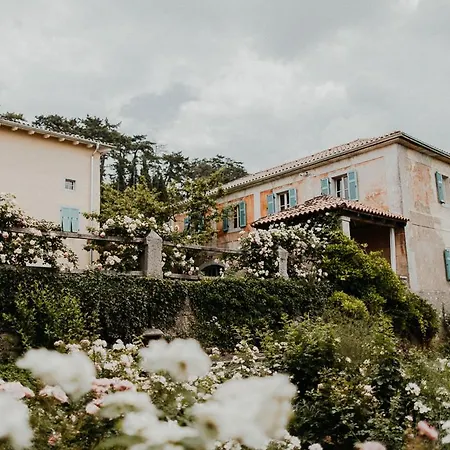 Fabiani, Historic Wine Estate, 乡村民宿